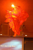 Glory Fire Canopy