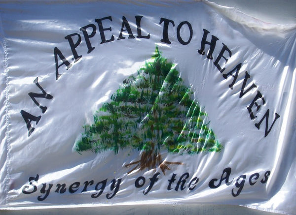 *Appeal to Heaven Prophetic Flag