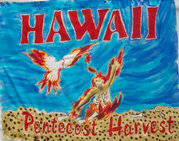 Hawaii Prophetic Destiny Flag