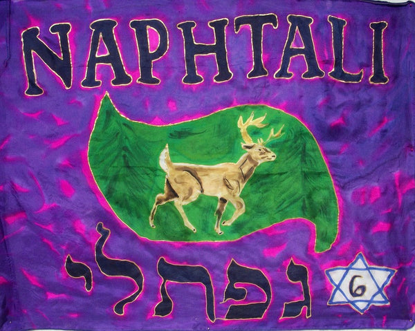 Naphtali Prophetic Worship Flag