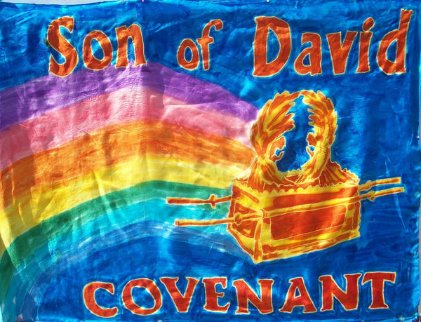 Son of David Prophetic Flag